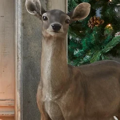 Biche Ruud