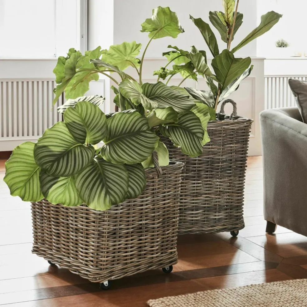 Lot de 2 paniers à plantes Gialousa