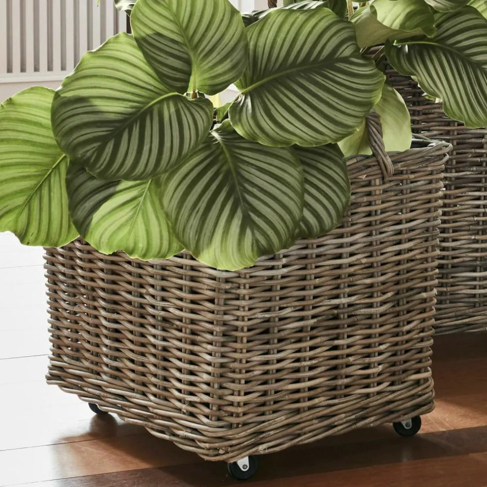 Lot de 2 paniers à plantes Gialousa