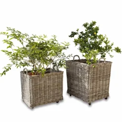 Lot de 2 paniers à plantes Gialousa