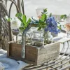 Lot de 4 vases avec caisse Reverie