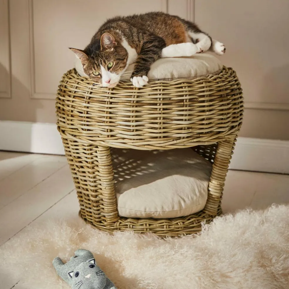 Panier pour animaux Haverdon