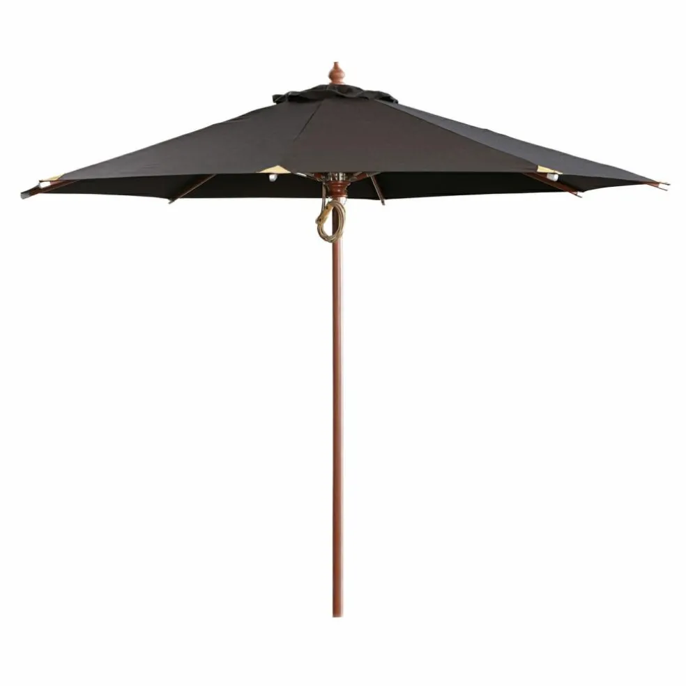 Parasol Brent